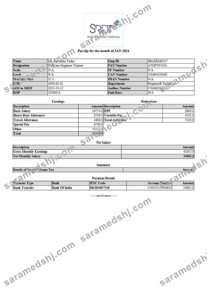 SRDT media, education, publishing payslip template in Word and PDF formats.pdf, 1